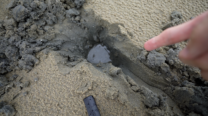 (사진=지식인미나니)