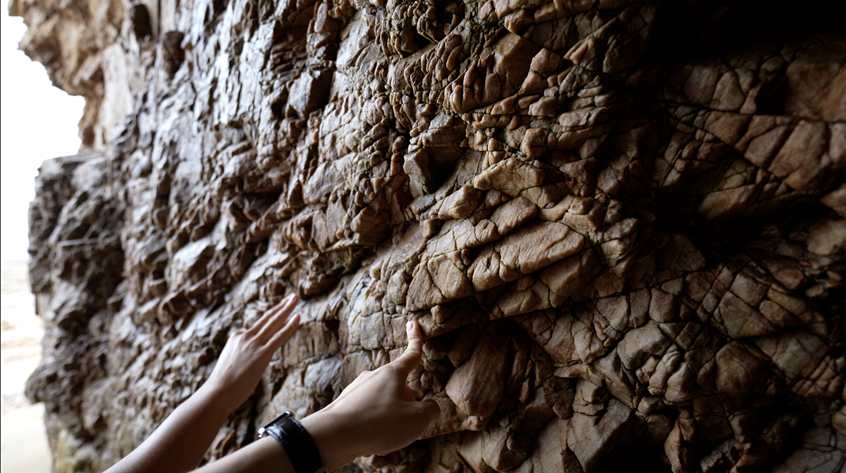 (사진=지식인미나니)