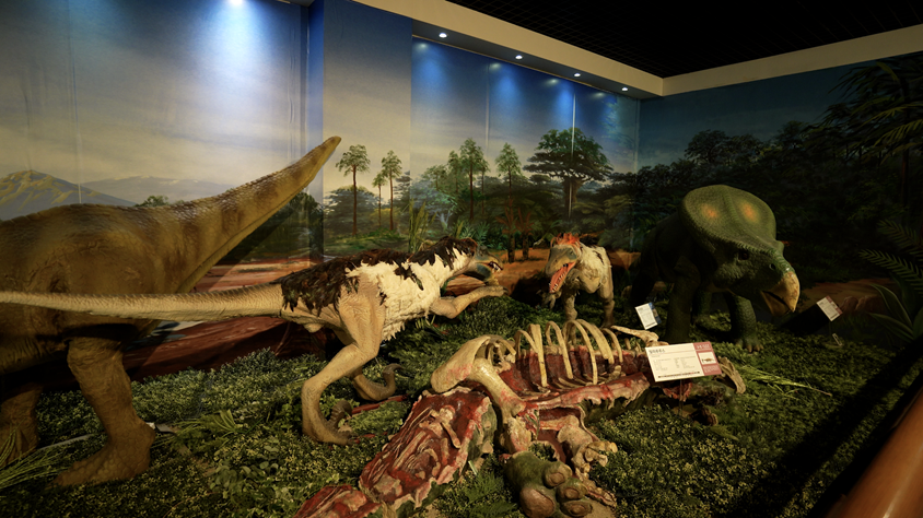 (사진=지식인미나니)