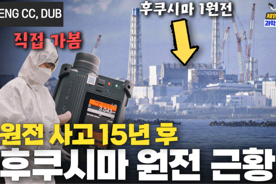 (사진=지식인미나니)