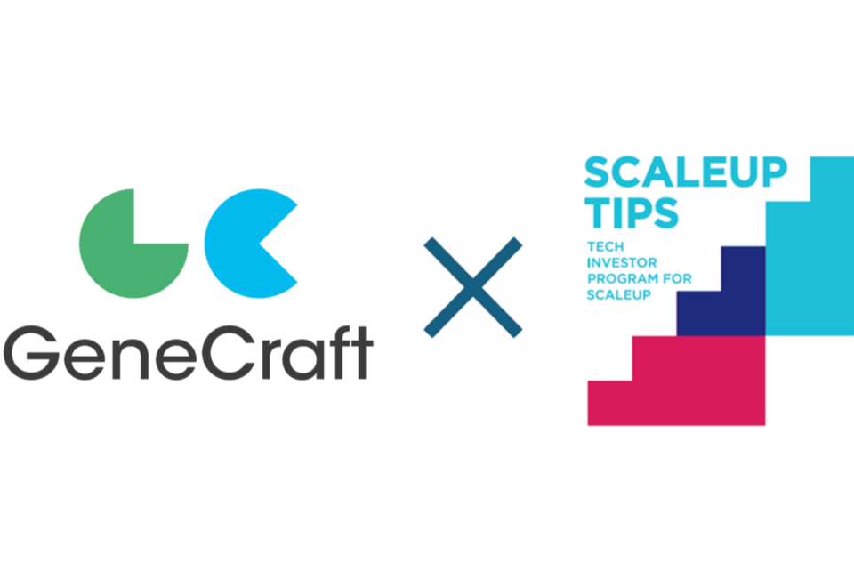 (사진=진크래프트)