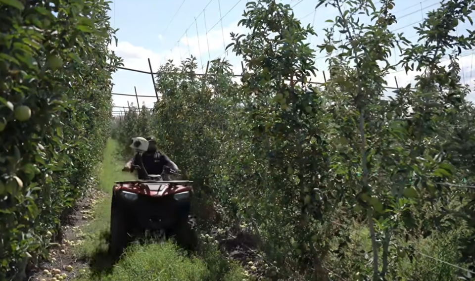 (사진=오차드 로보틱스)