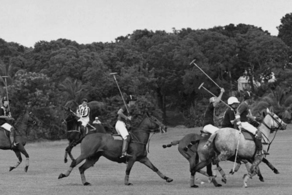 (사진=랄프로렌)