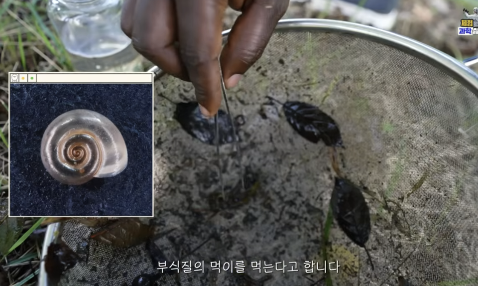 (사진=지식인미나니)