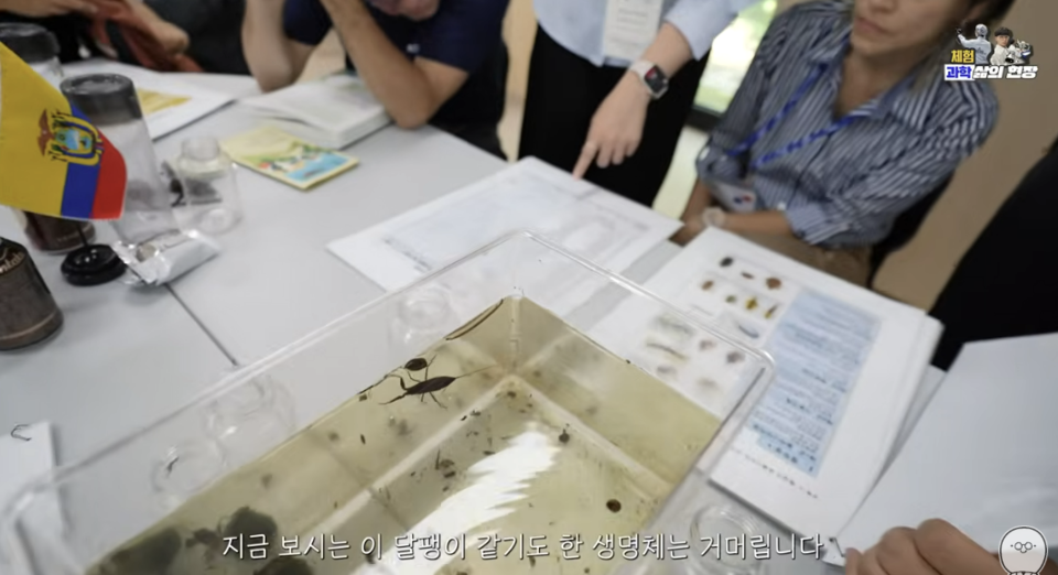 (사진=지식인미나니)