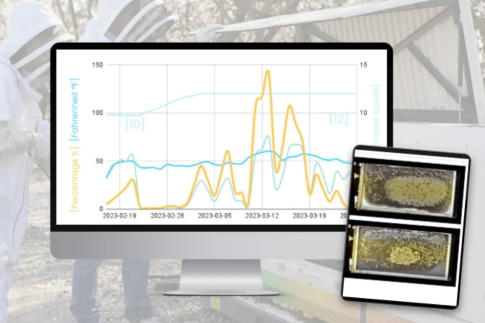 (사진=비와이즈)