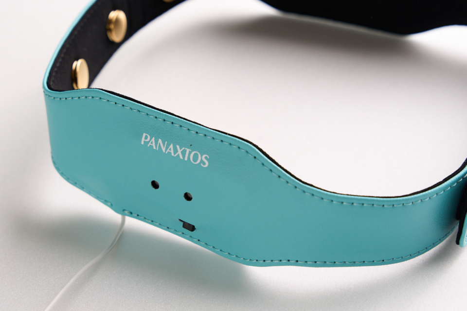 (사진=파낙토스)