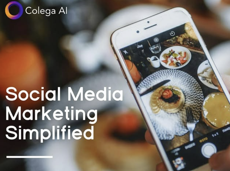 (사진=콜레가 AI)