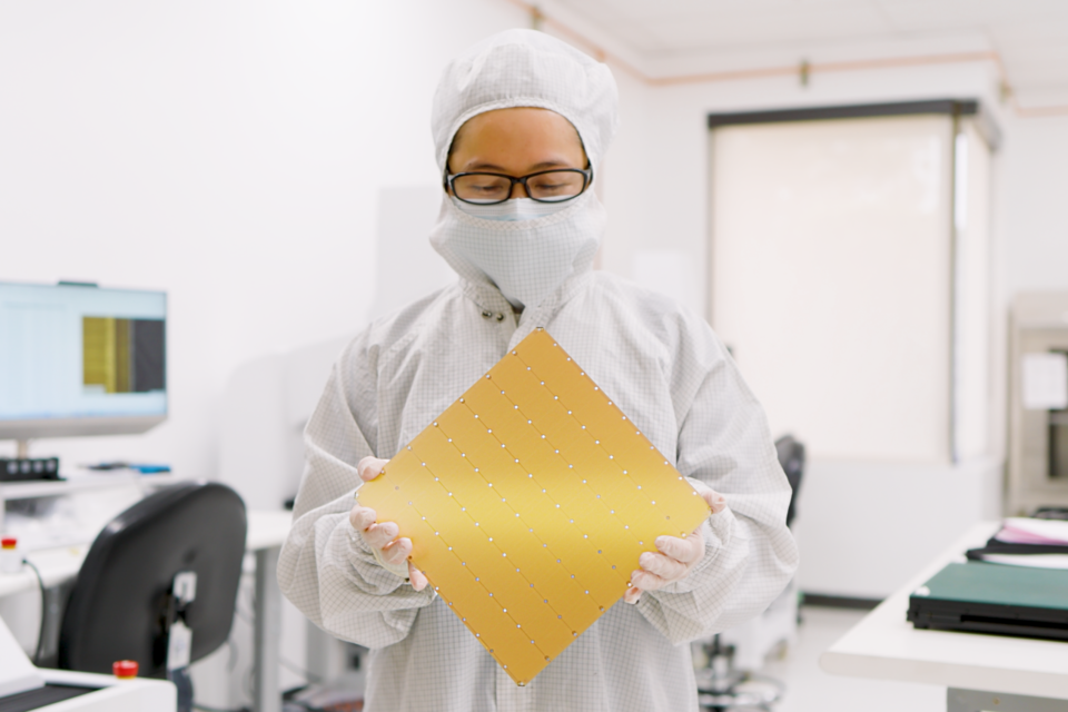 (사진=세레브라스)