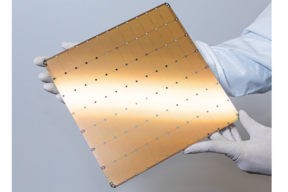 (사진=세레브라스)