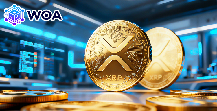 (사진=WOA 크립토)