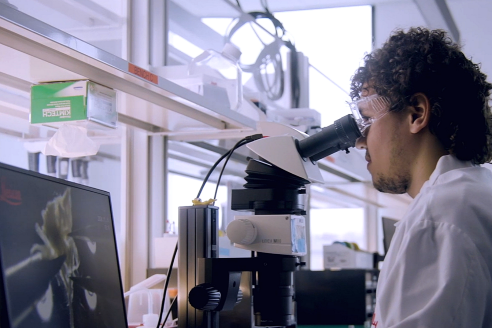 (사진=엔비디아)