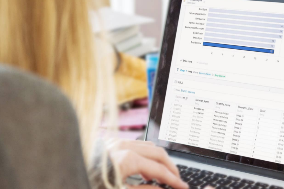 (사진=팔란티어)