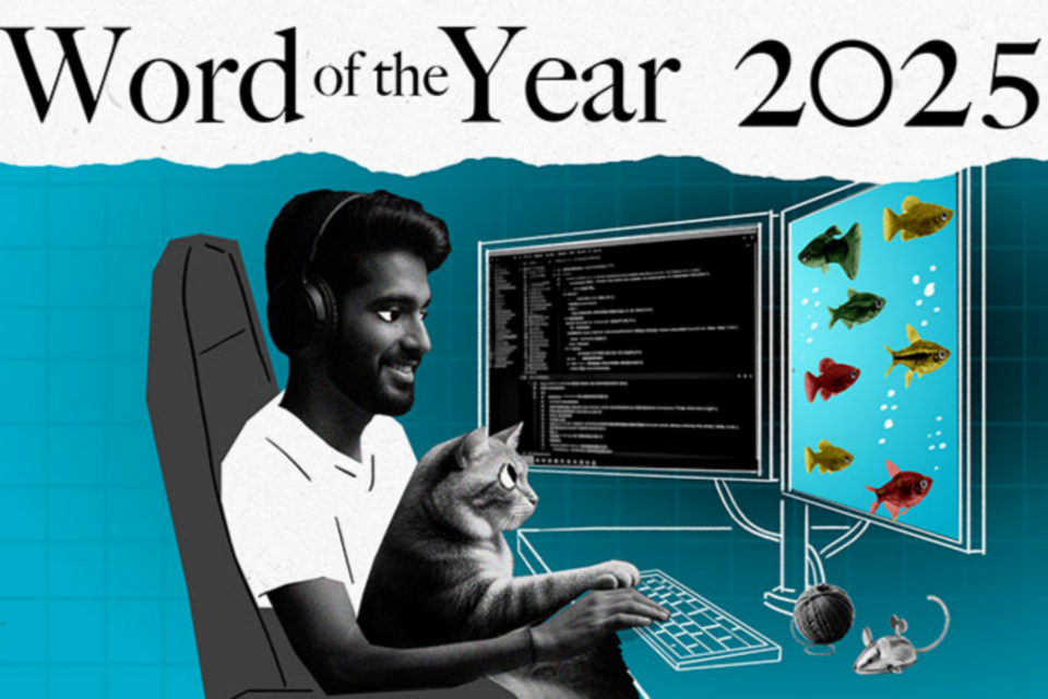 (사진=영국 콜린스 사전)